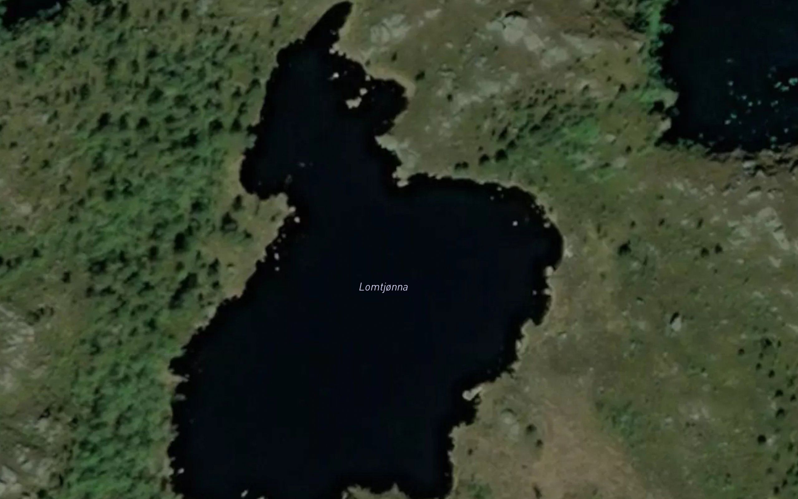 Lomtjorna