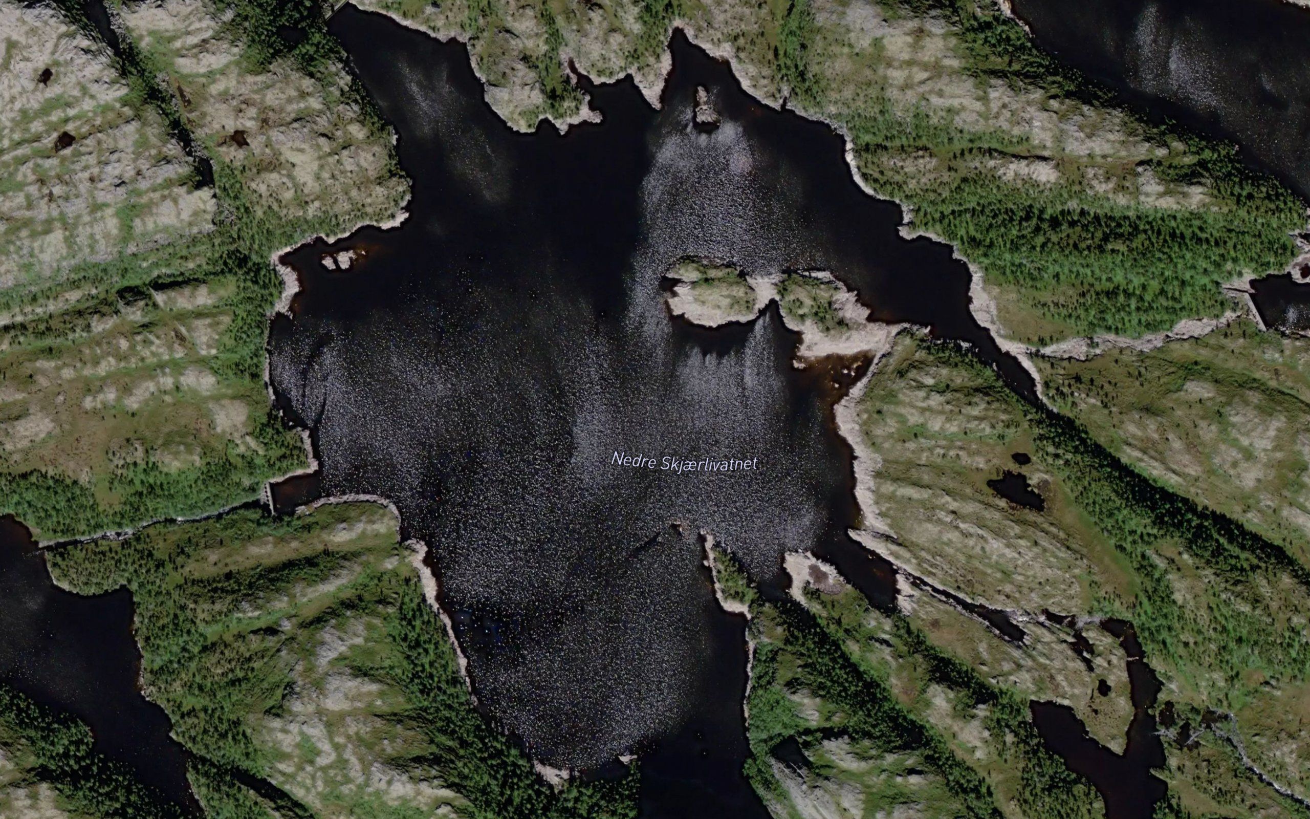 Skjerlivatnet,nedre