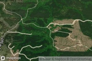 Coon Creek