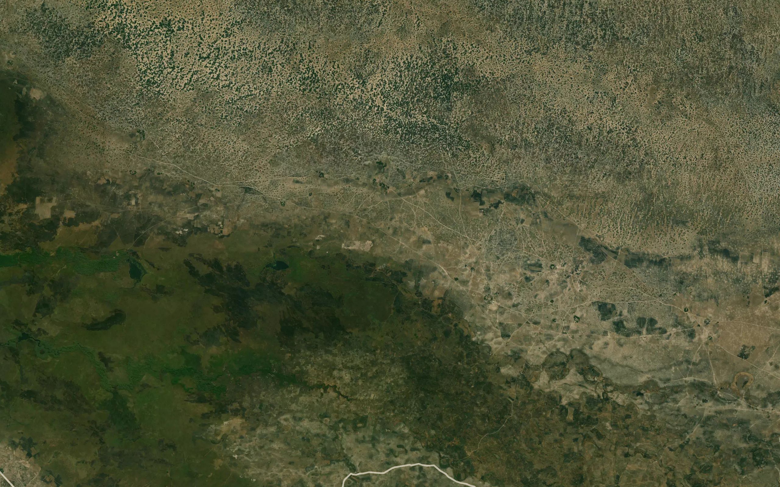 Ngala