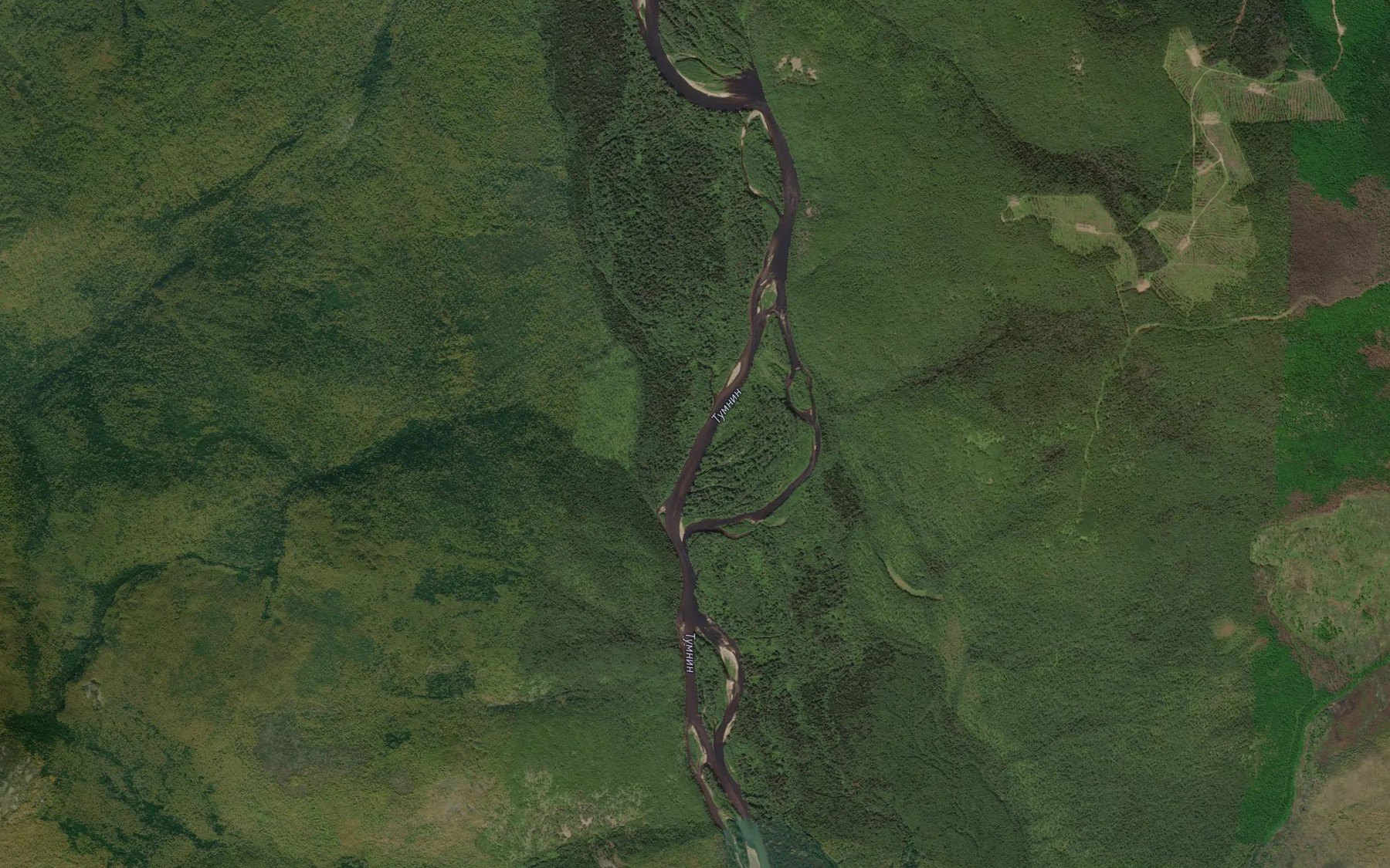 Satellite map of the Lomanyy