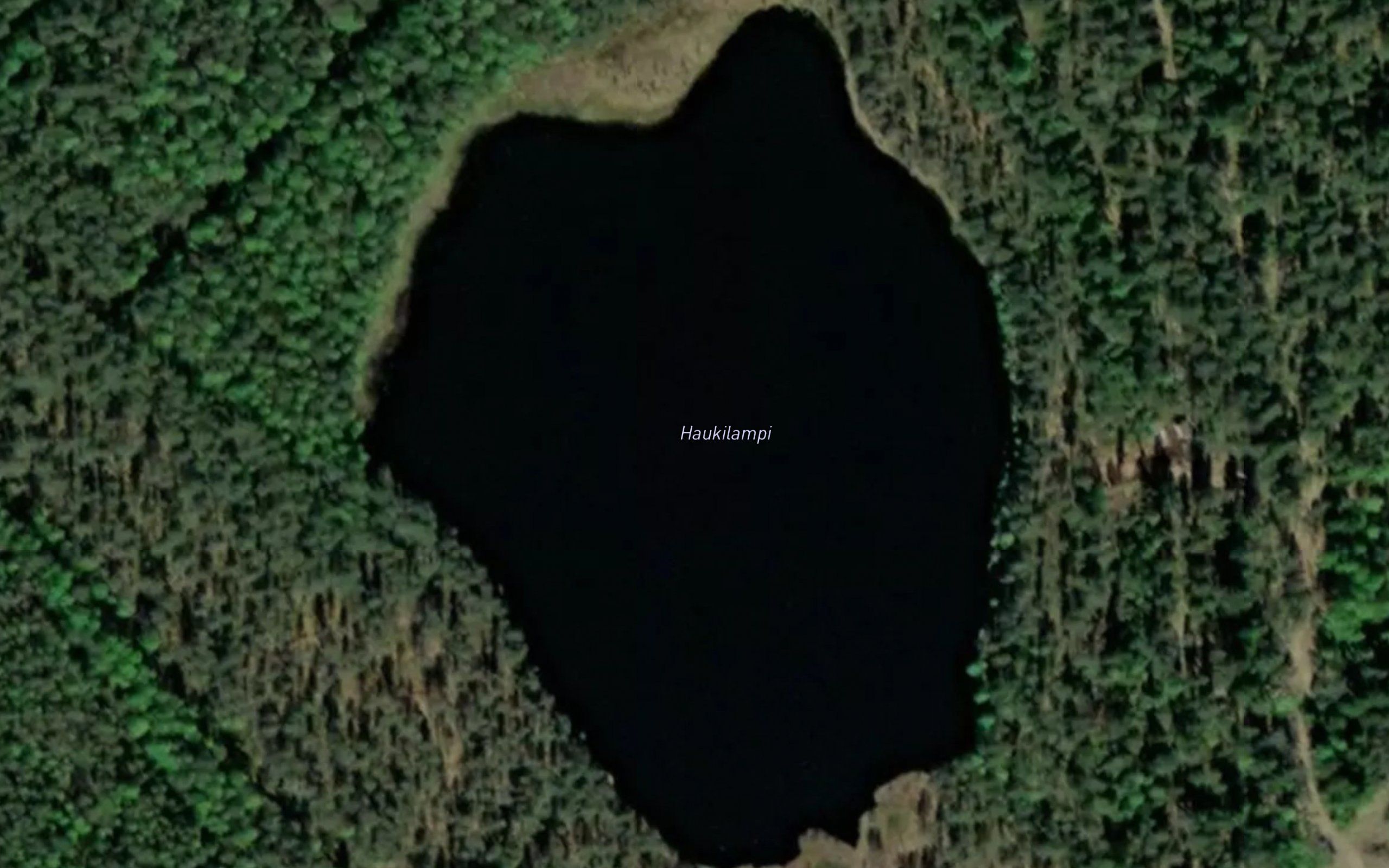 Haukilampi
