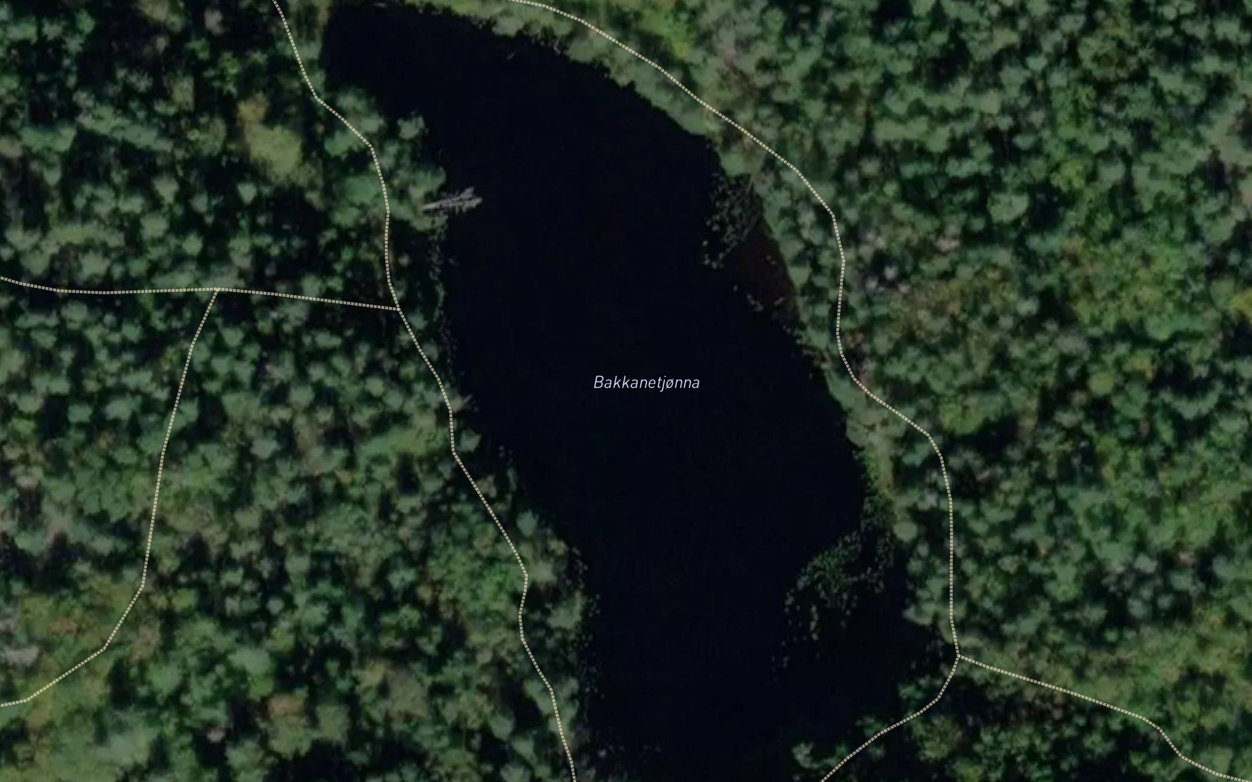 Bakkanetjonn