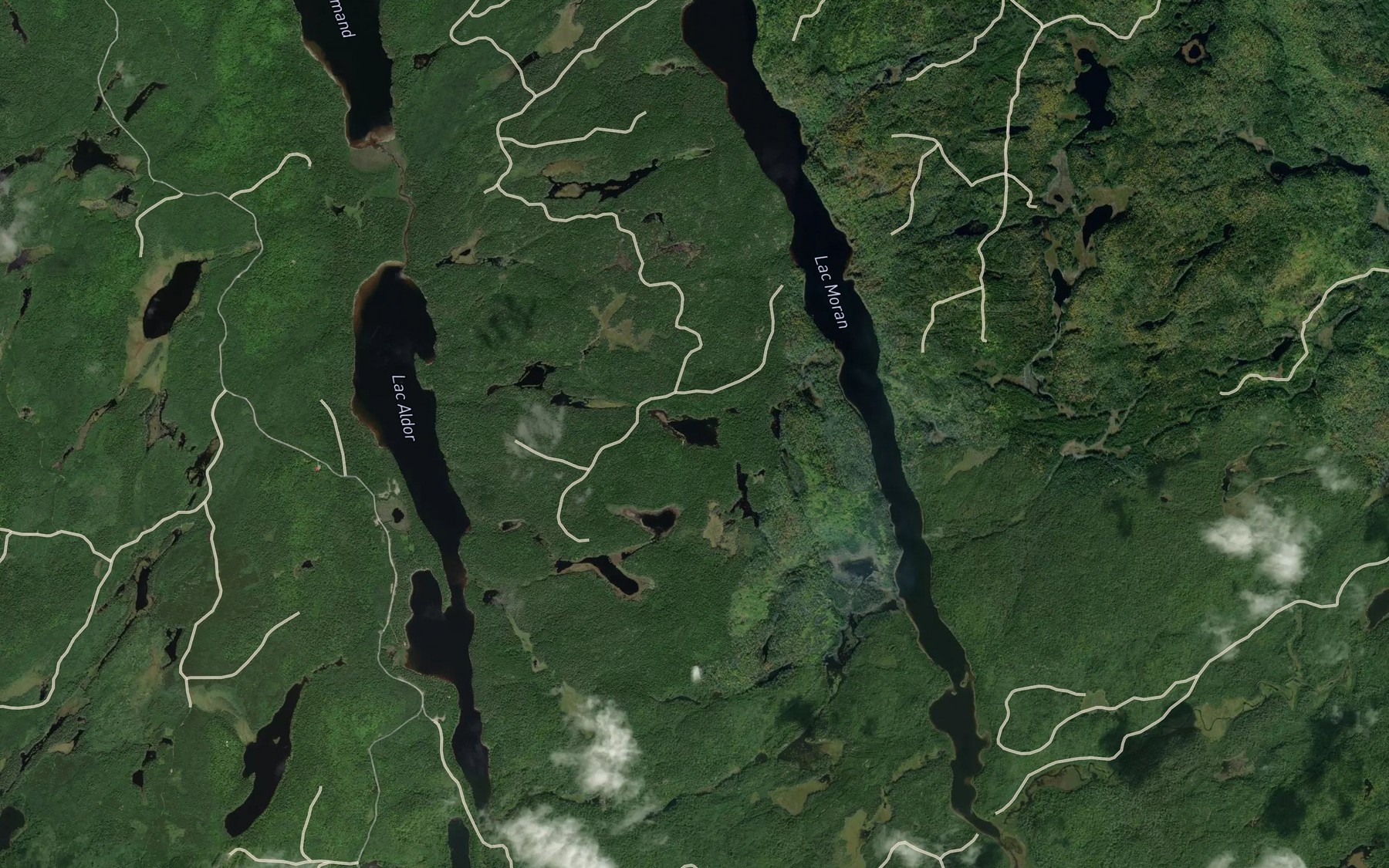 Satellite map of the Lac aux Cenelles