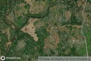 East Branch Donny Brook