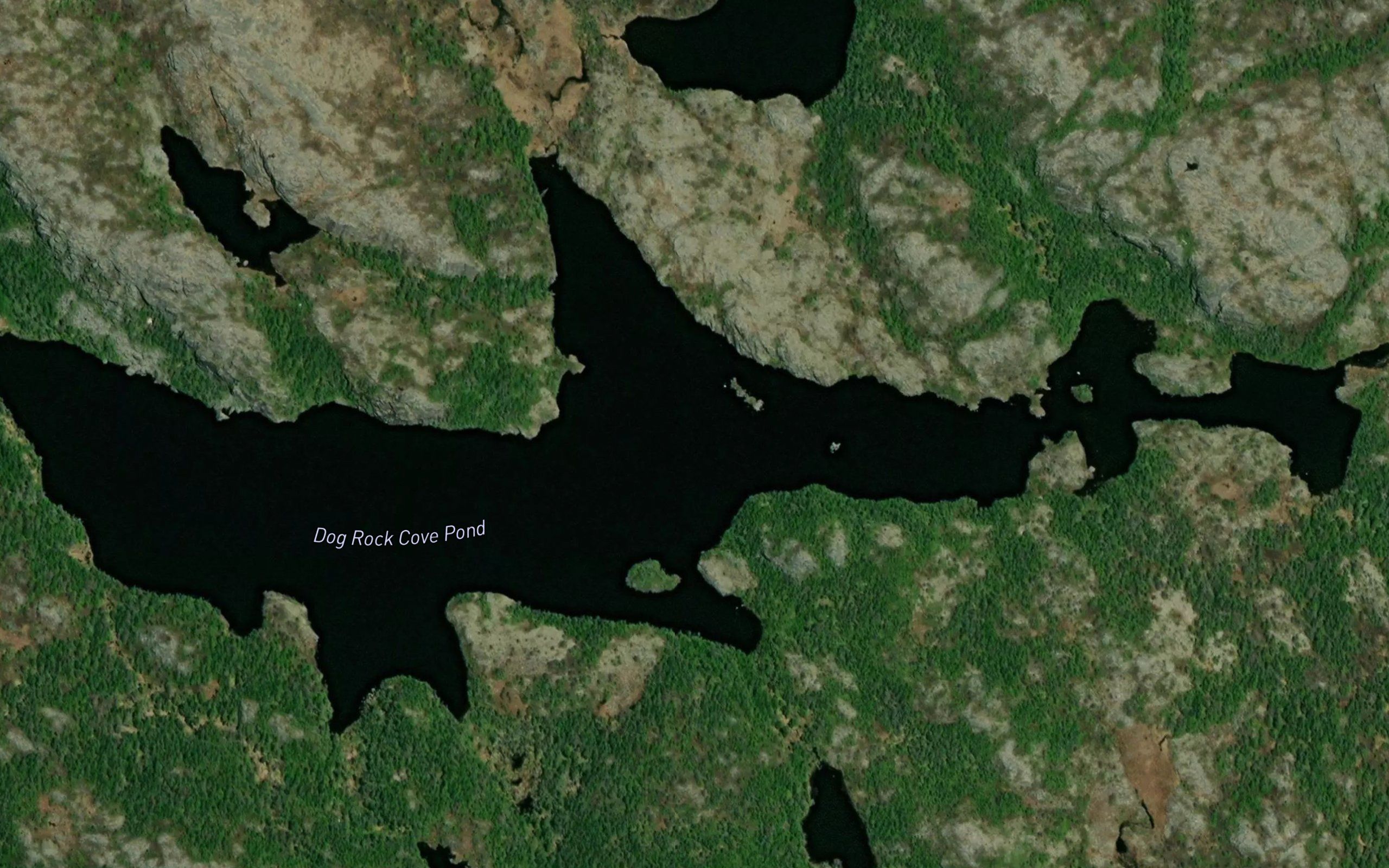 Dog Rock Cove Pond