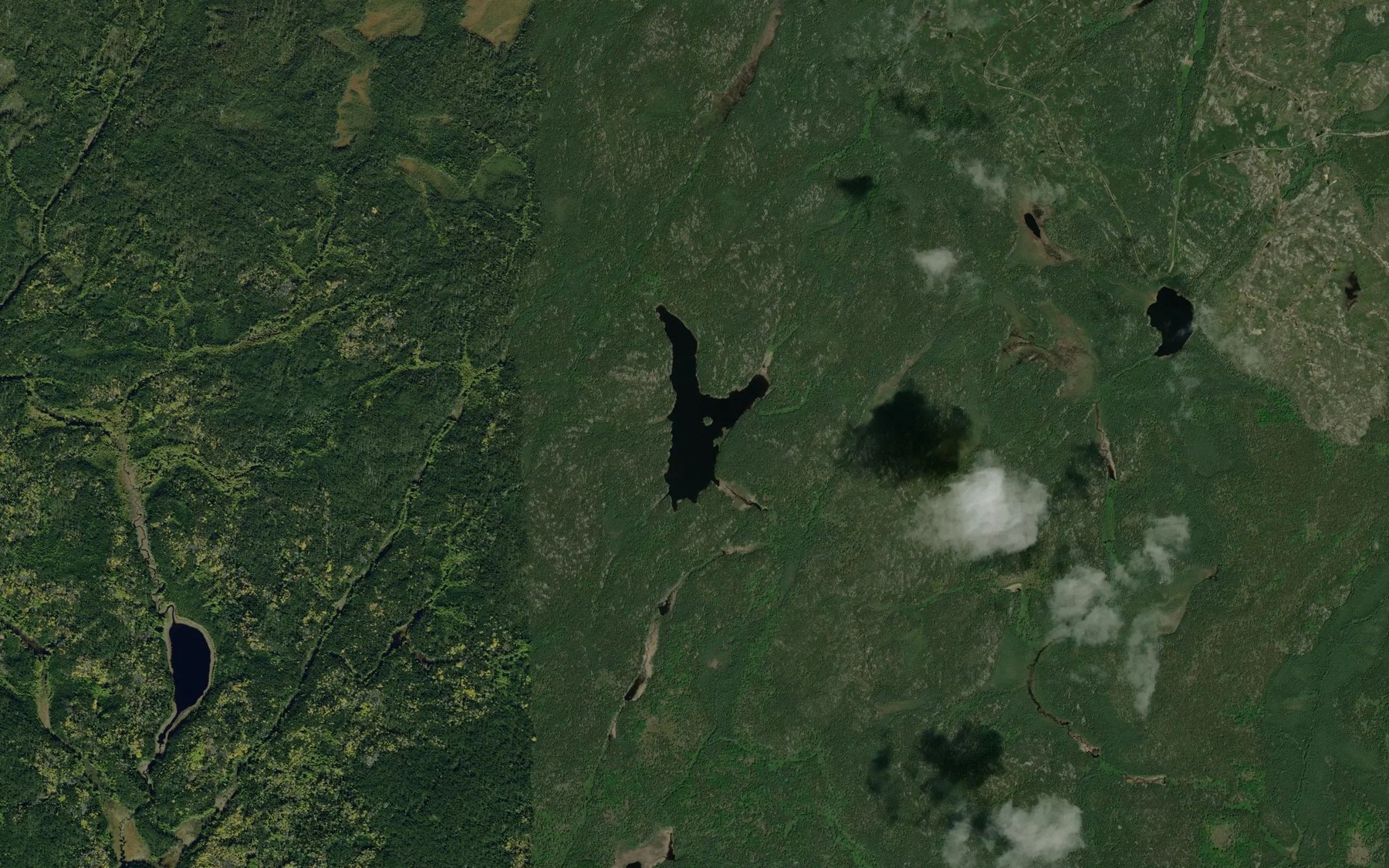 Satellite map of the Rogow Lake