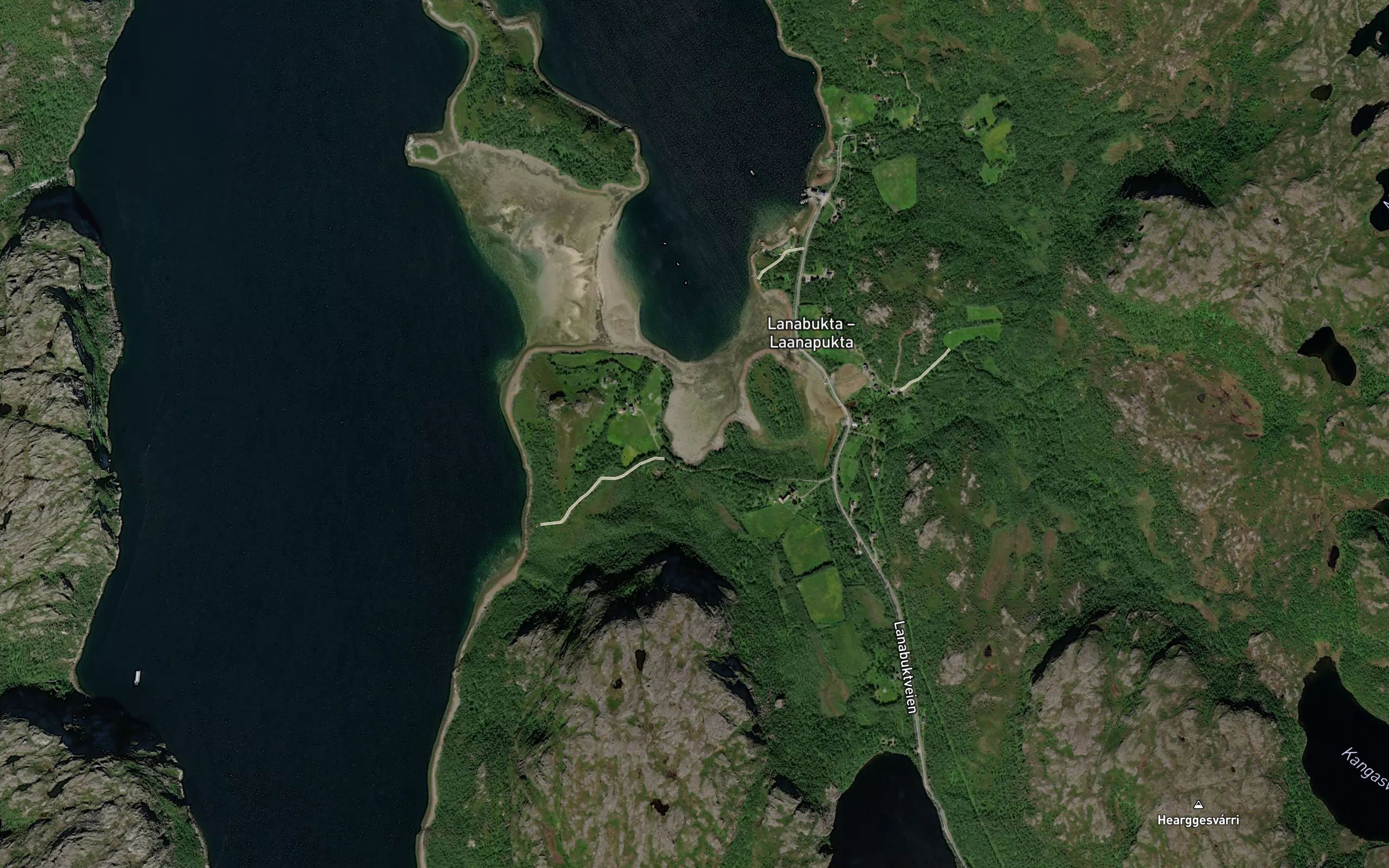 Madvika