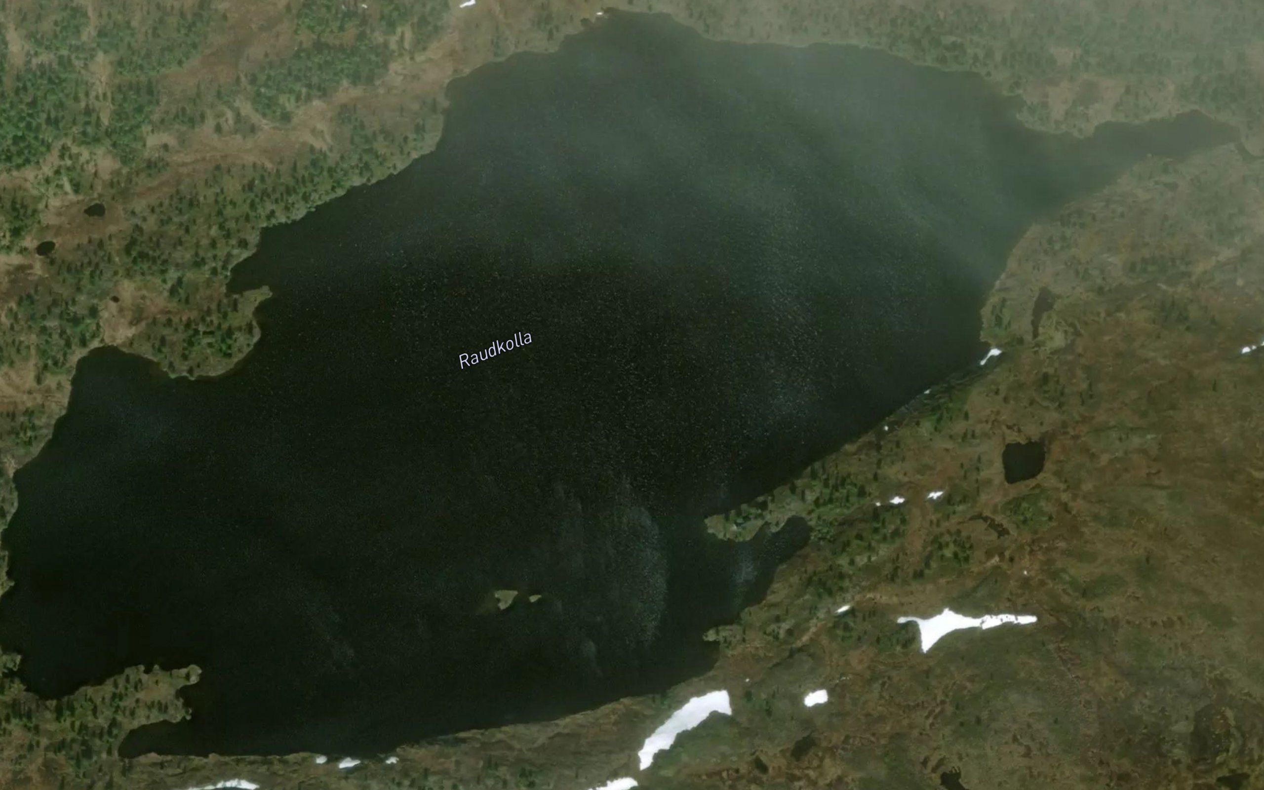 Raudkolla