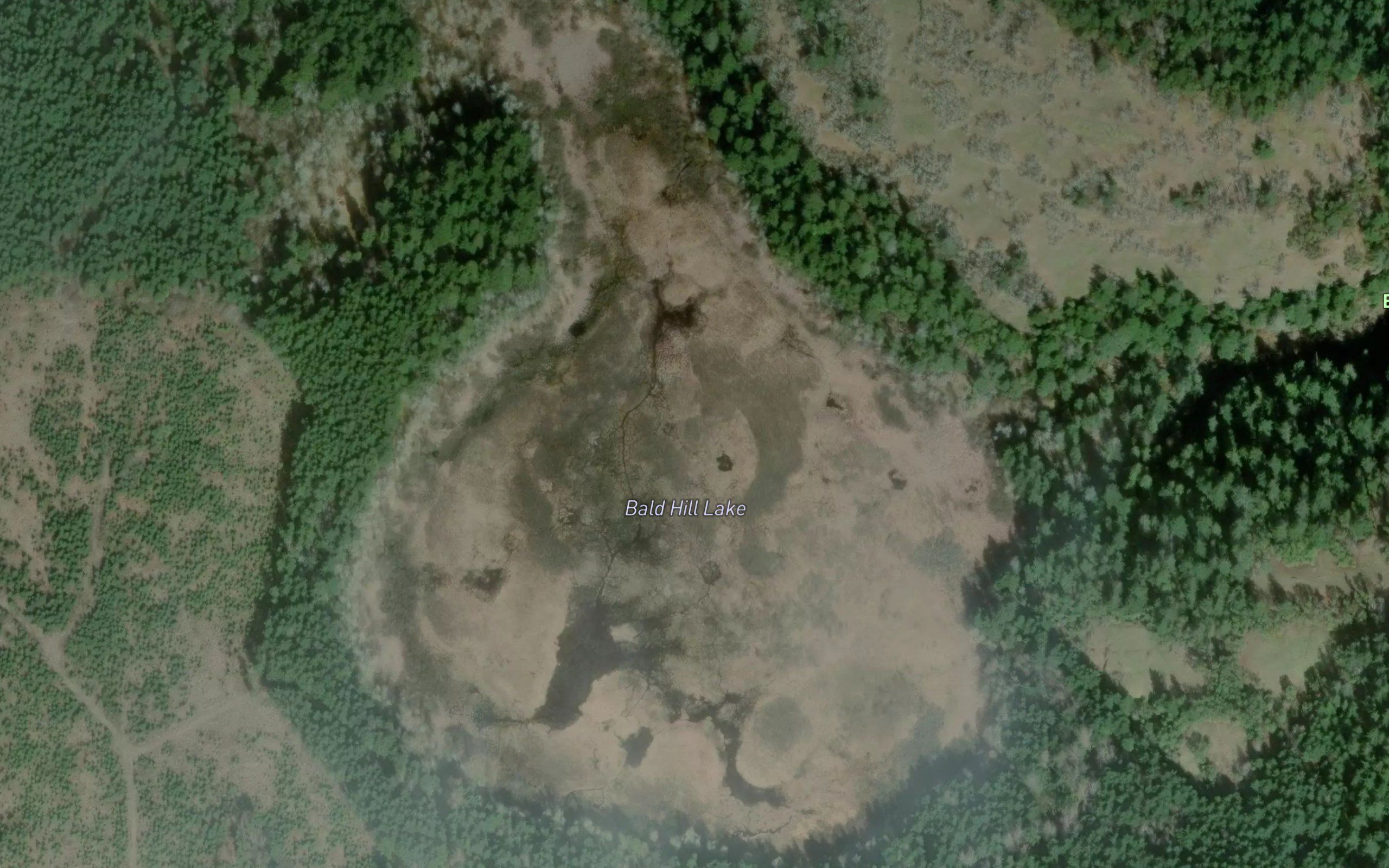 Bald Hill Lake