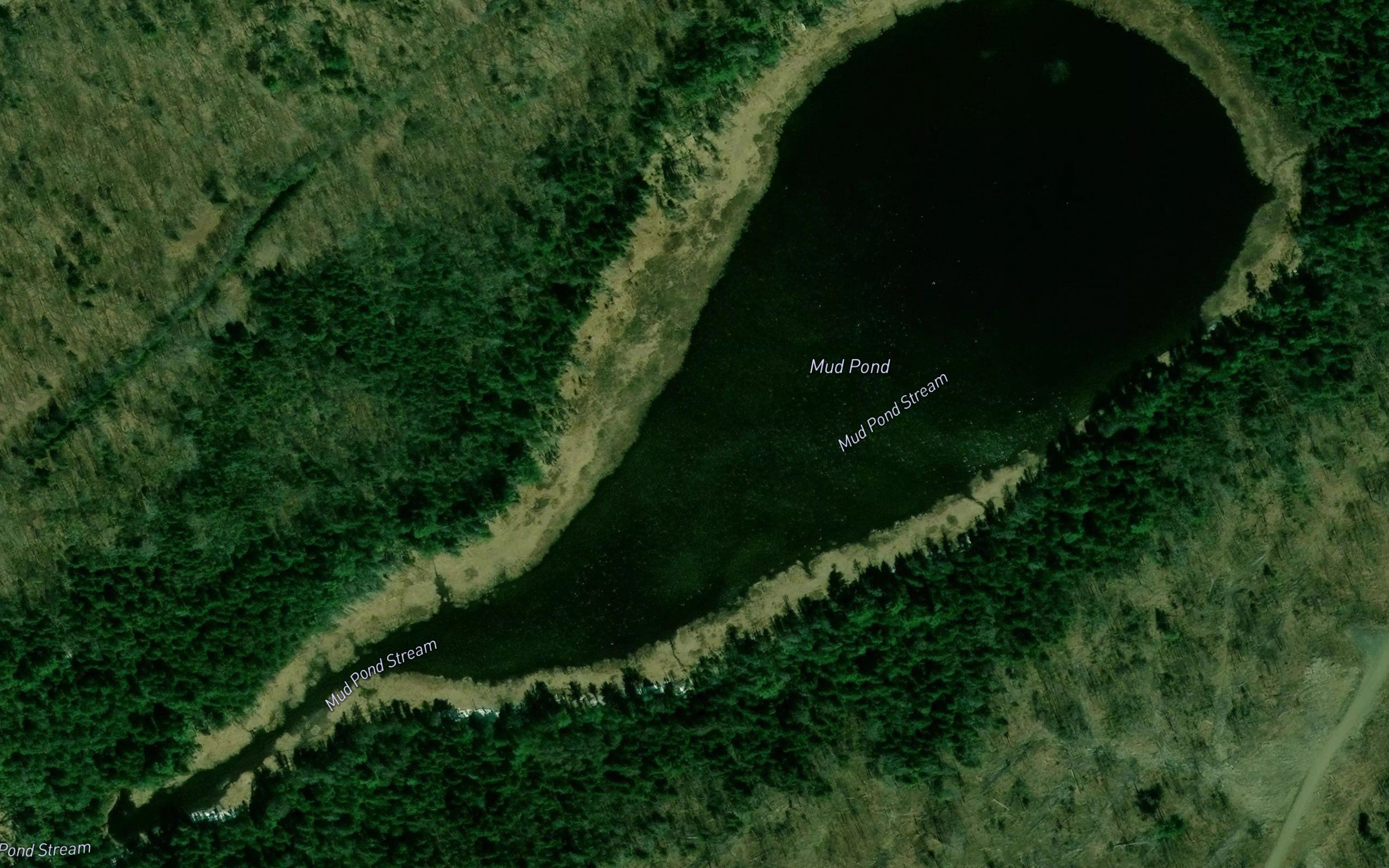 Mud Pond