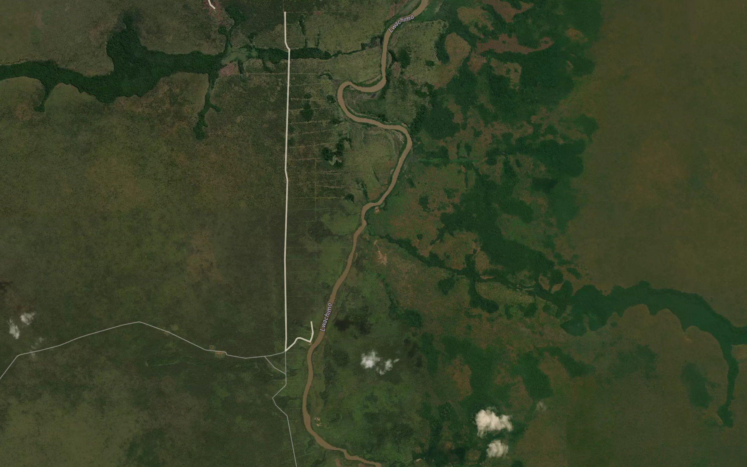 Mbunze