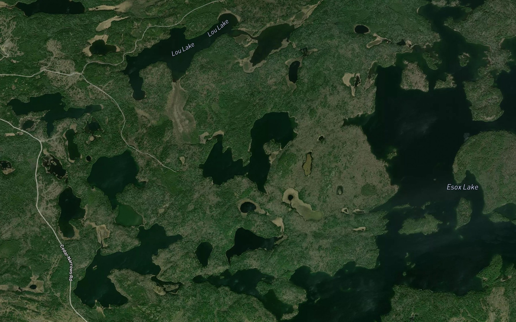 Satellite map of the Seahorse Lake