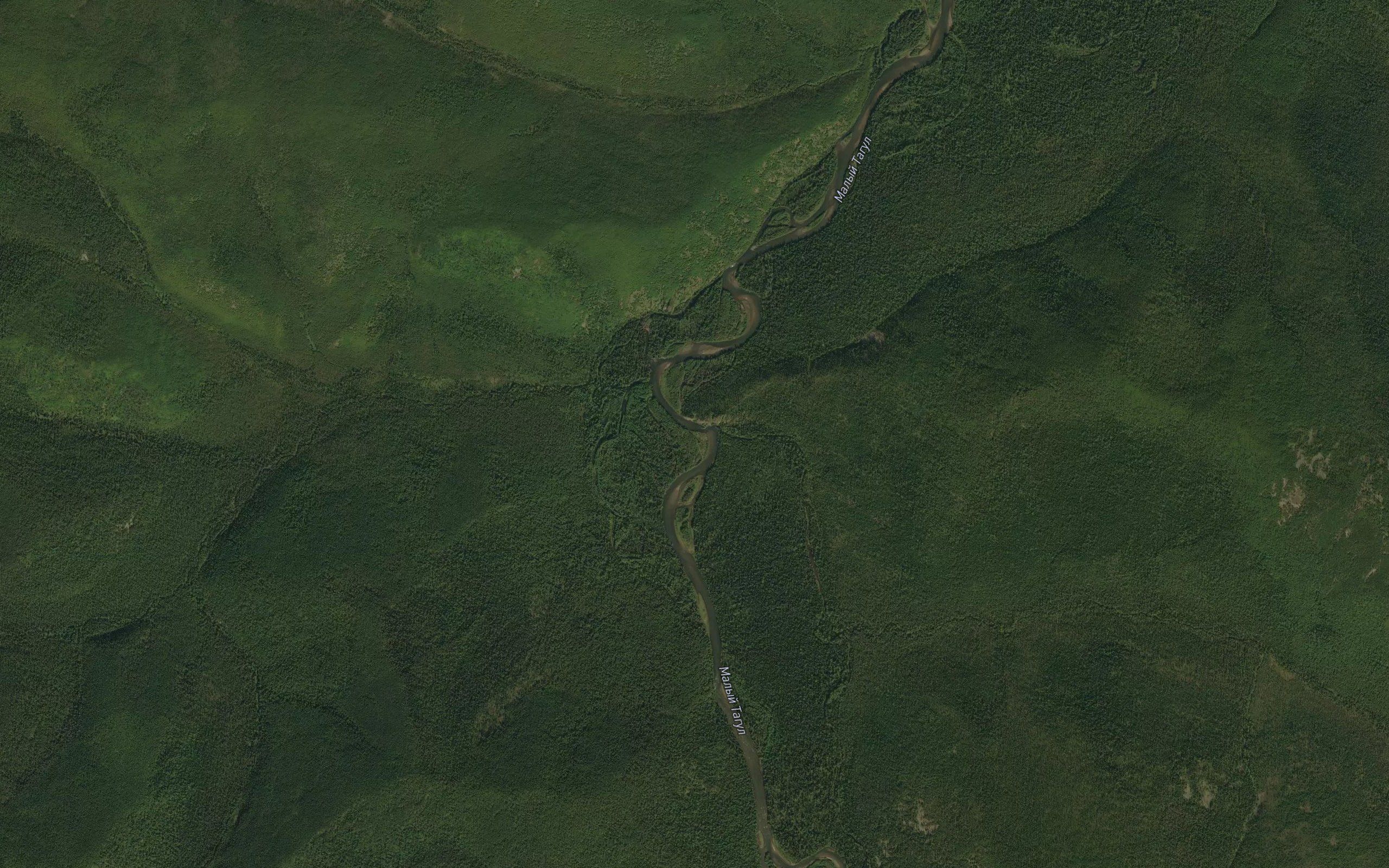 Topolevaya