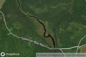 Little Lazy Tom Stream