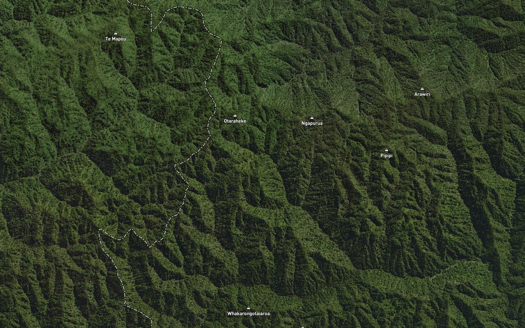 Satellite map of the Whareau Stream
