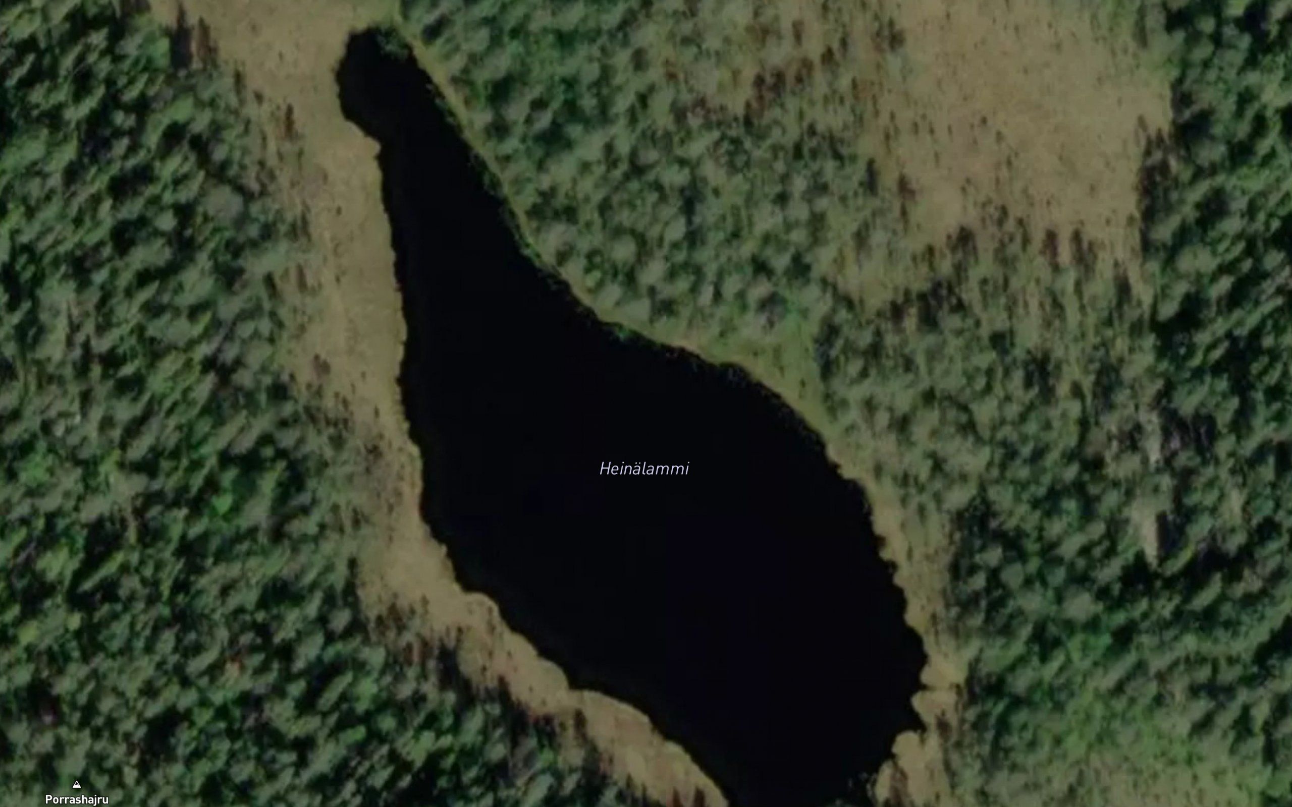 Heinalammi