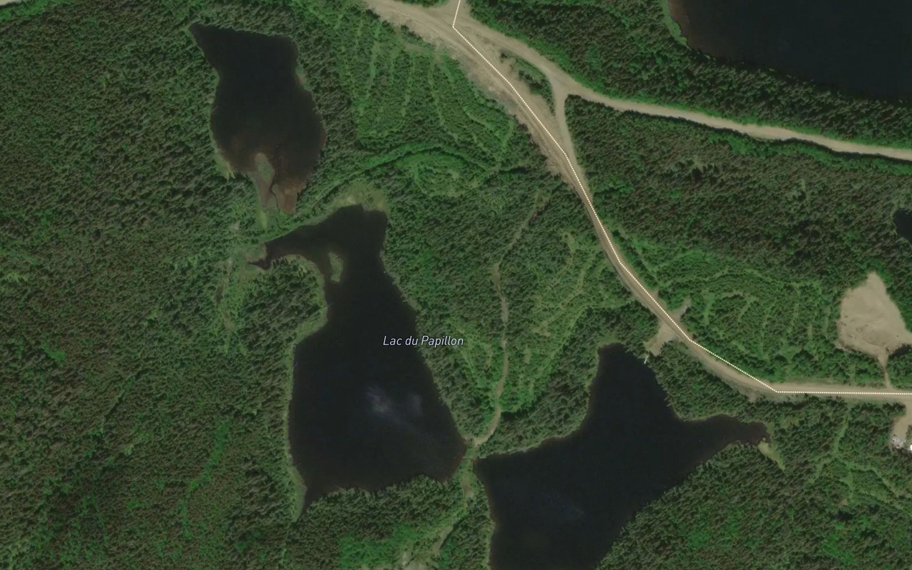 Satellite map of the Lac Papillon