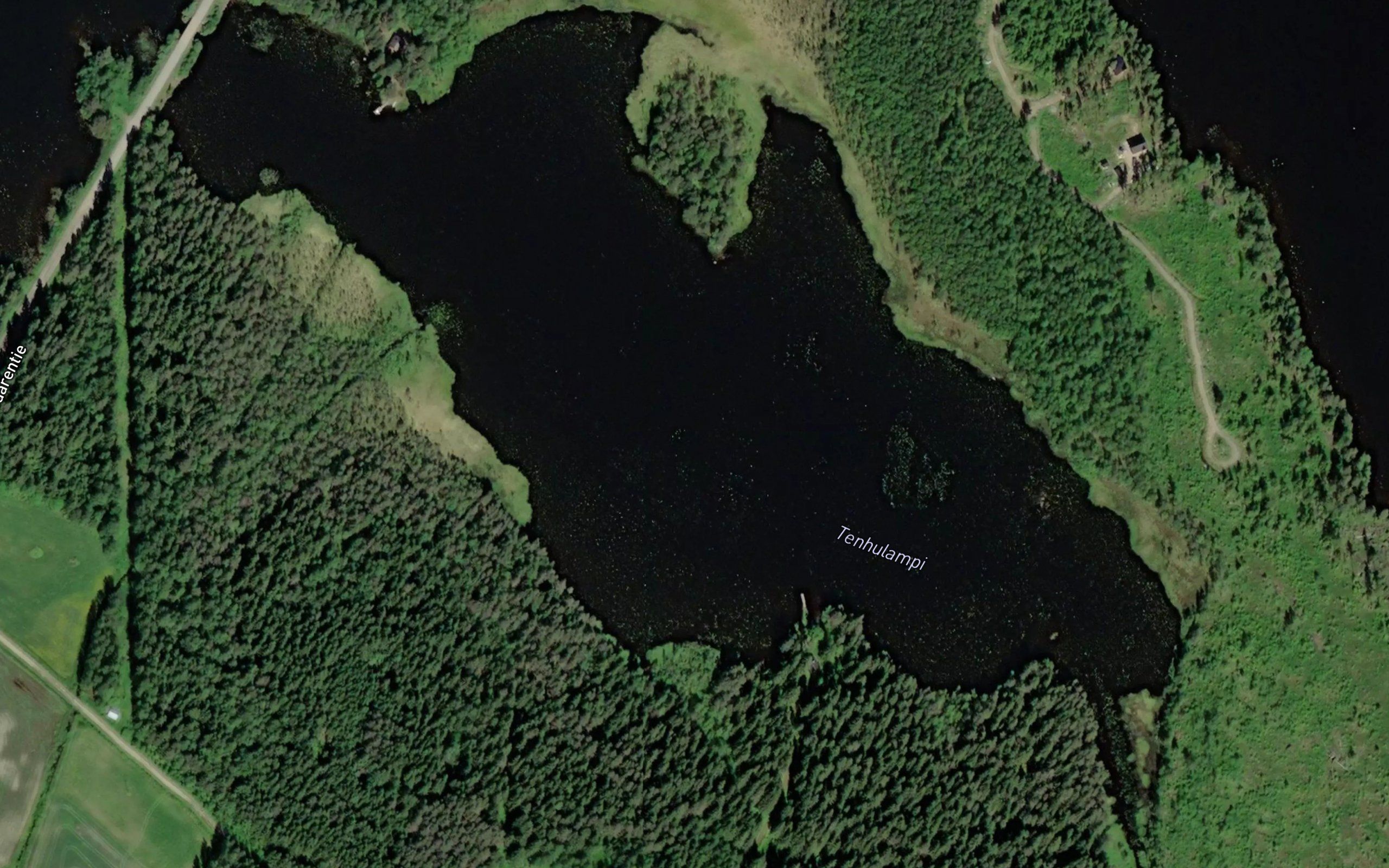 Tenhulampi