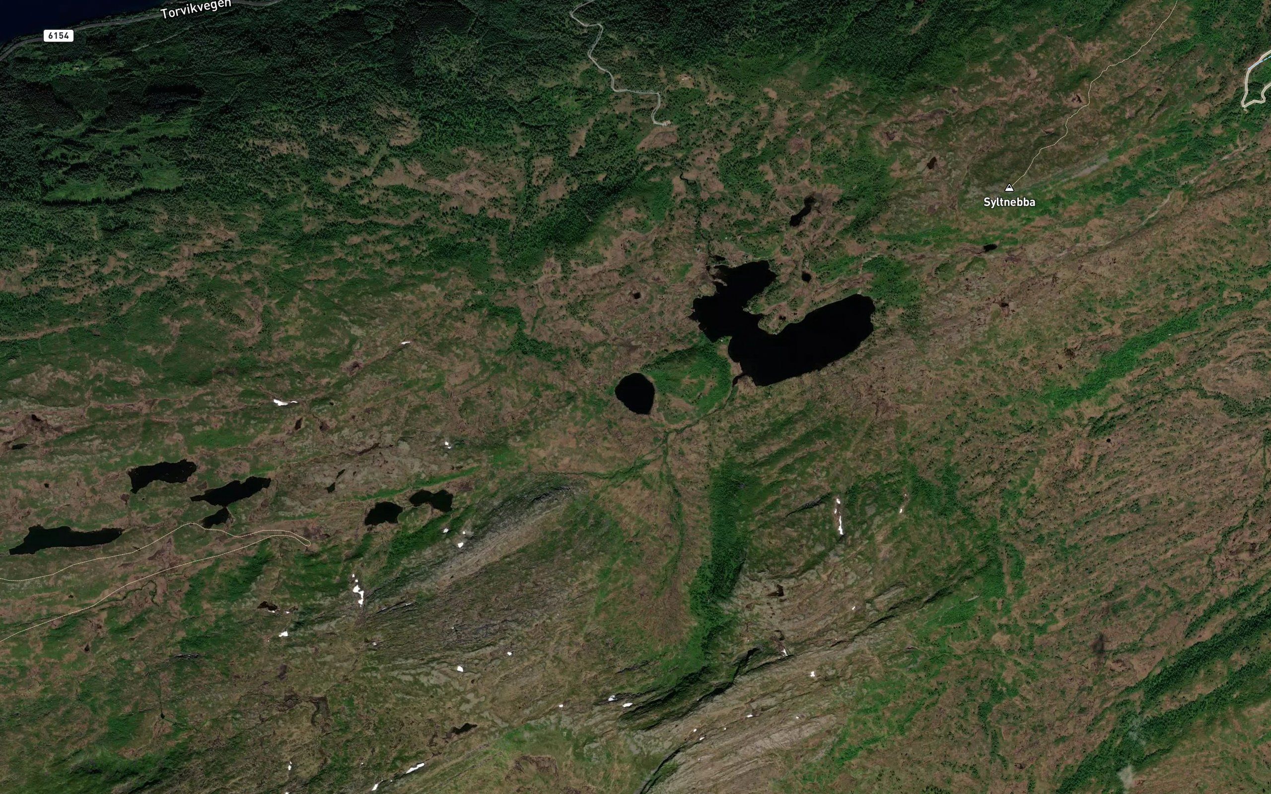 Bollathaugtjorna