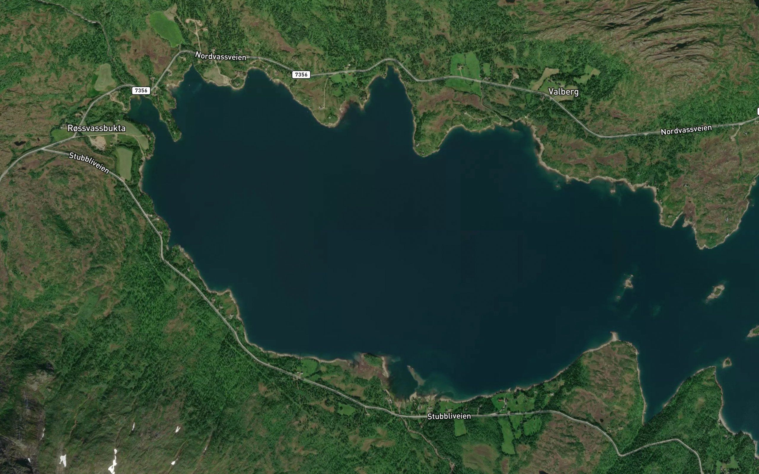 Rosvassbukta