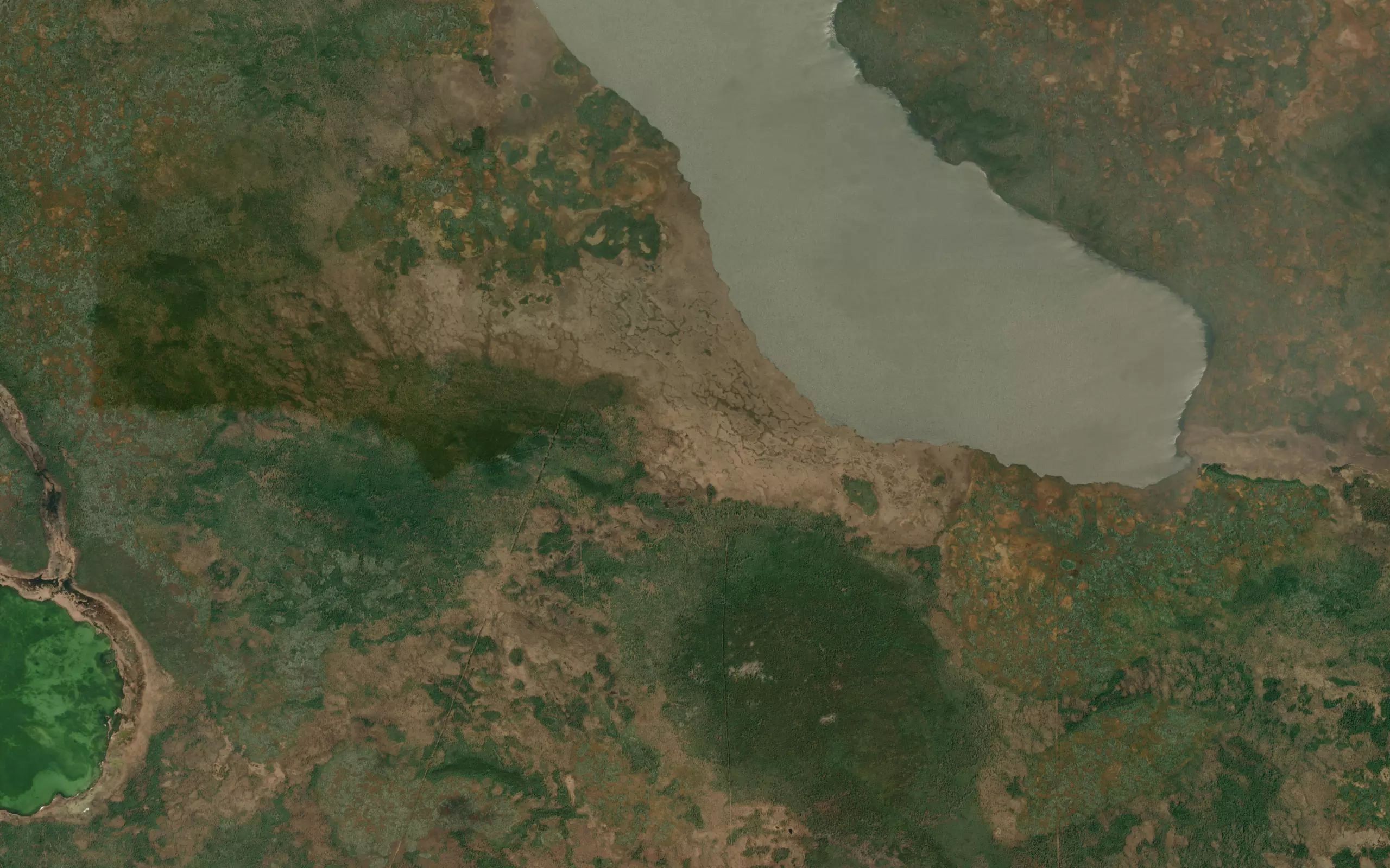 Foetus Lake