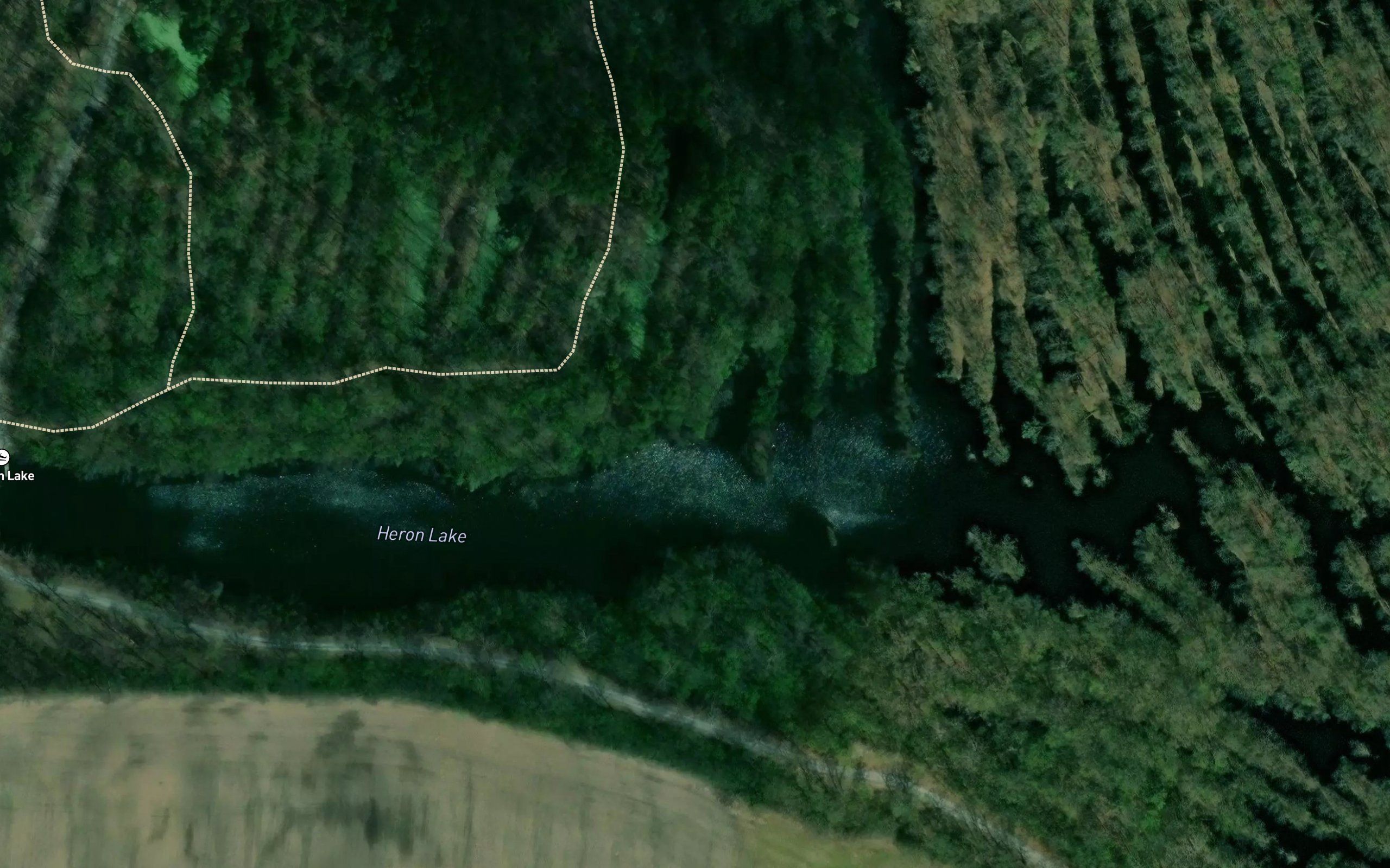 Heron Lake