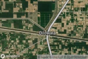 Bola Duba Two Right Distributary