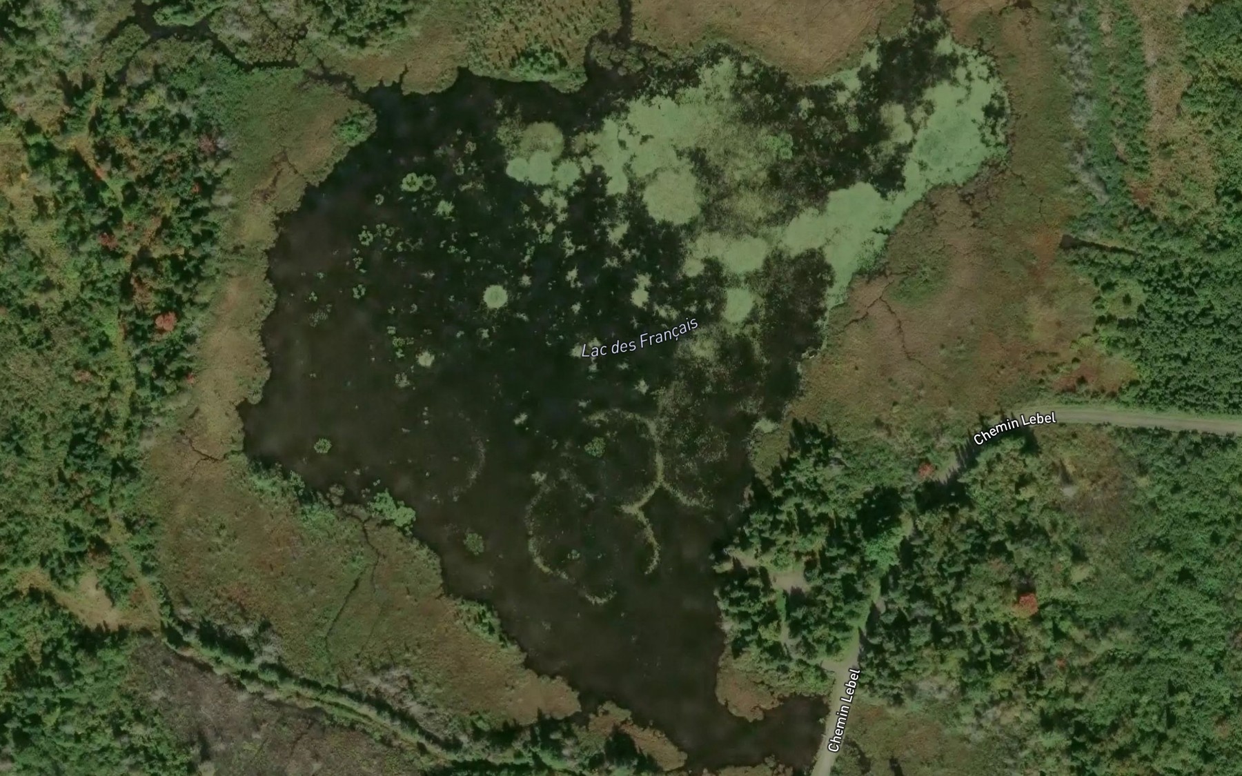 Satellite map of the Lac des Francais
