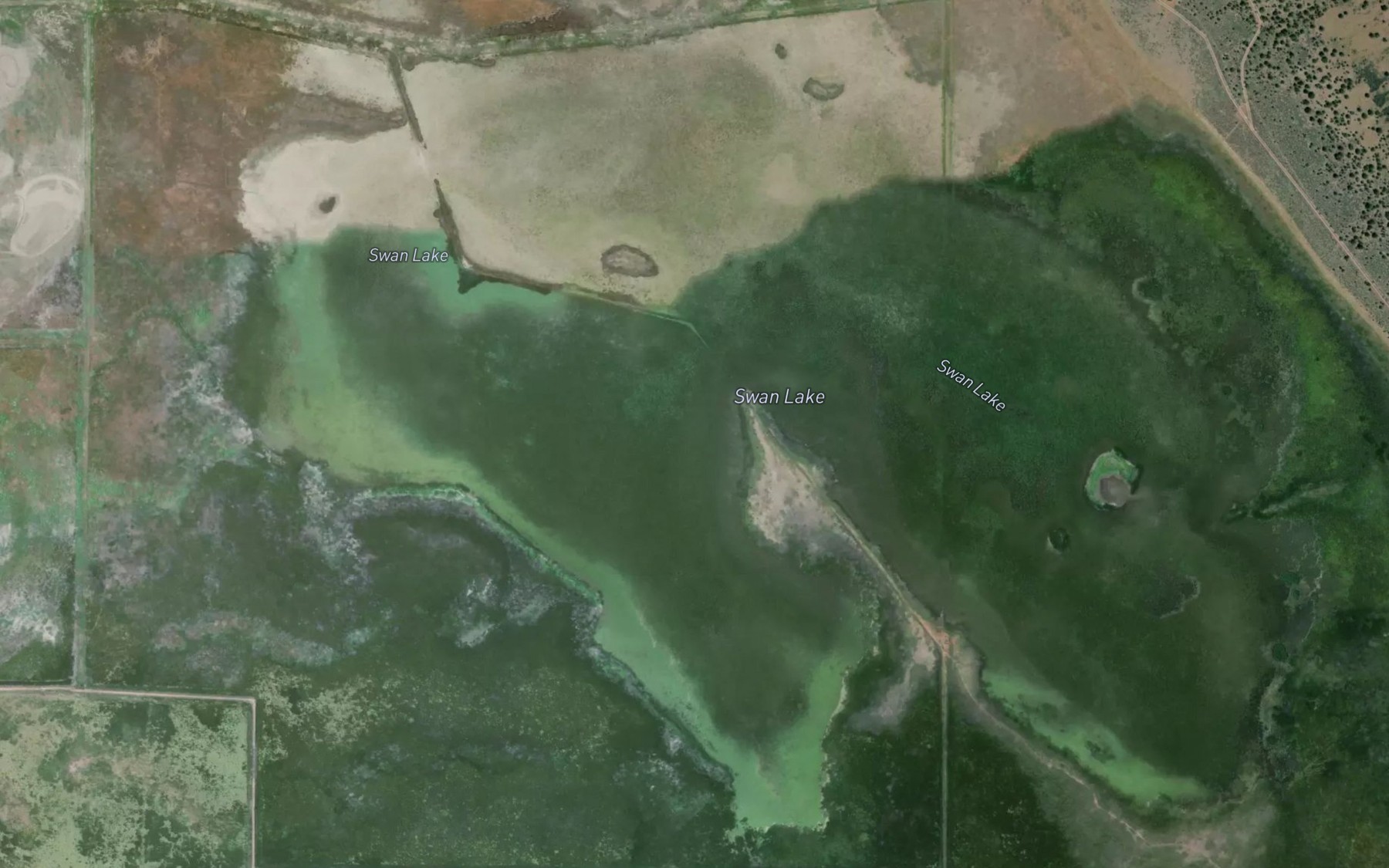 Satellite map of the Swan Lake