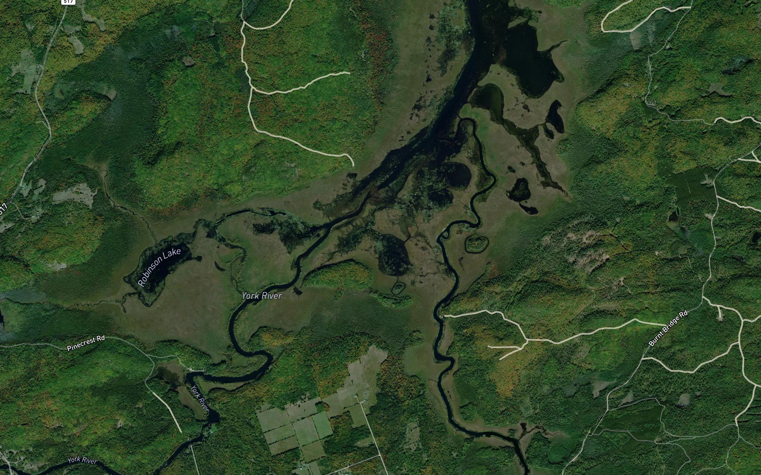 Winter Lake
