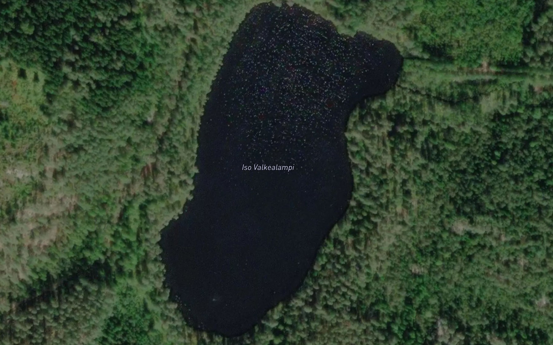 Satellite map of the Iso Valkealampi