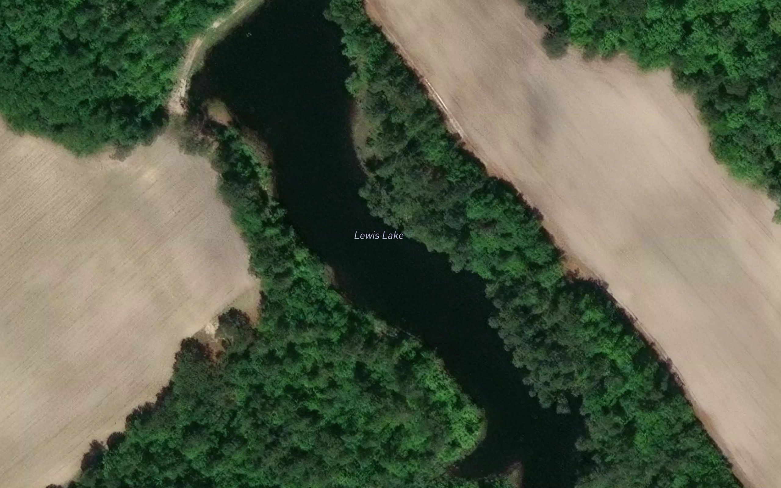 Lewis Lake