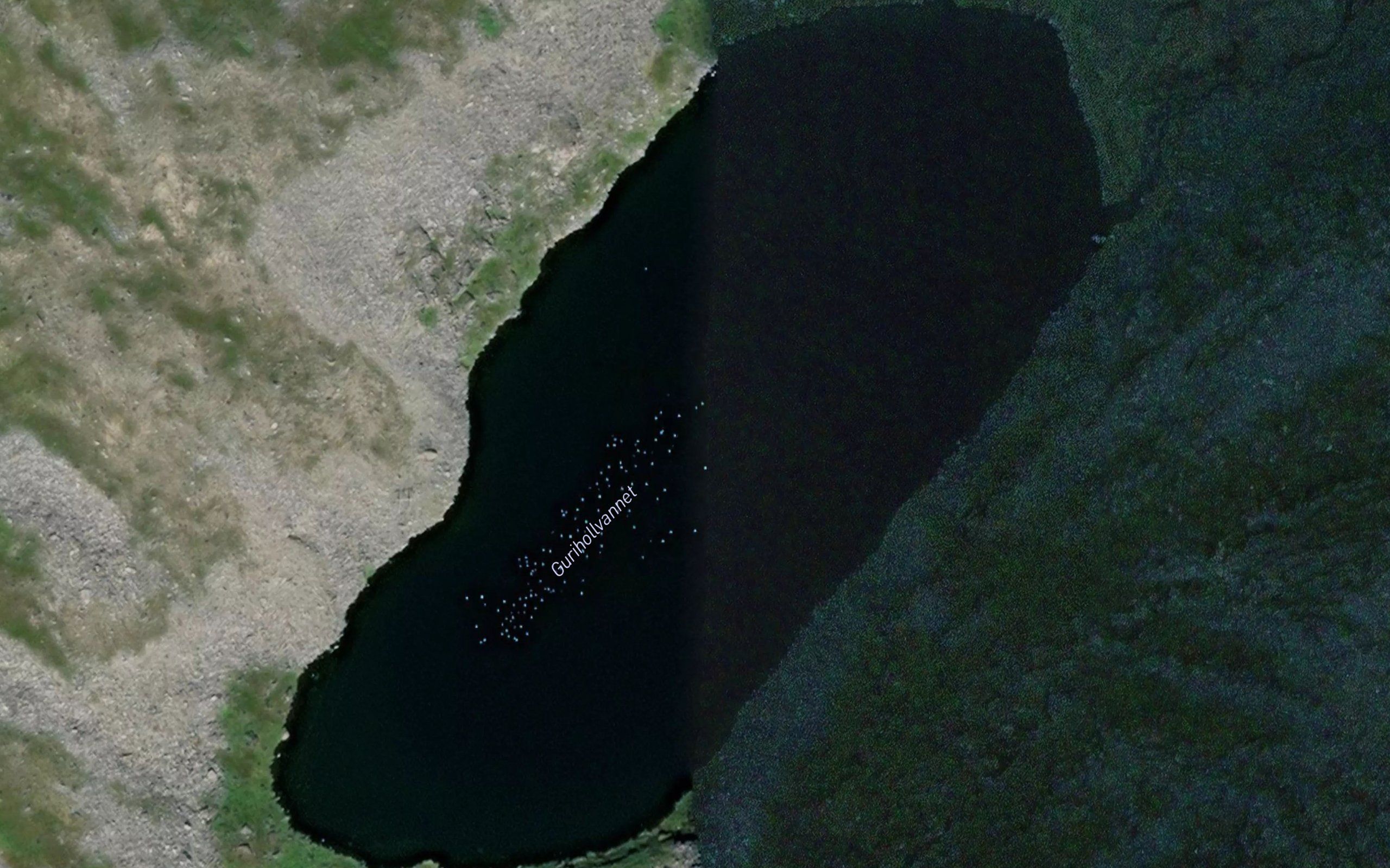 Gurihollvatnet