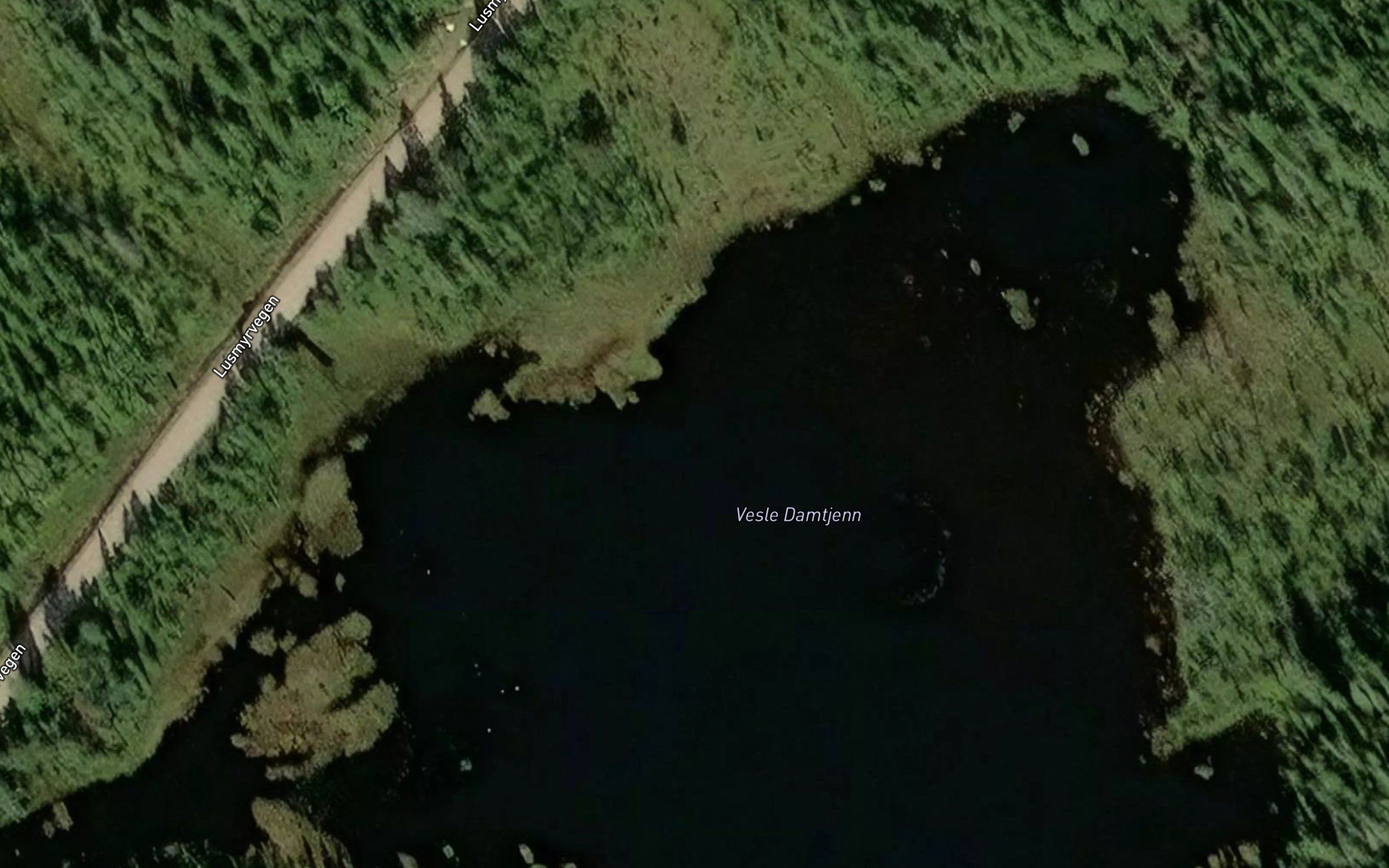 Vesle Damtjern