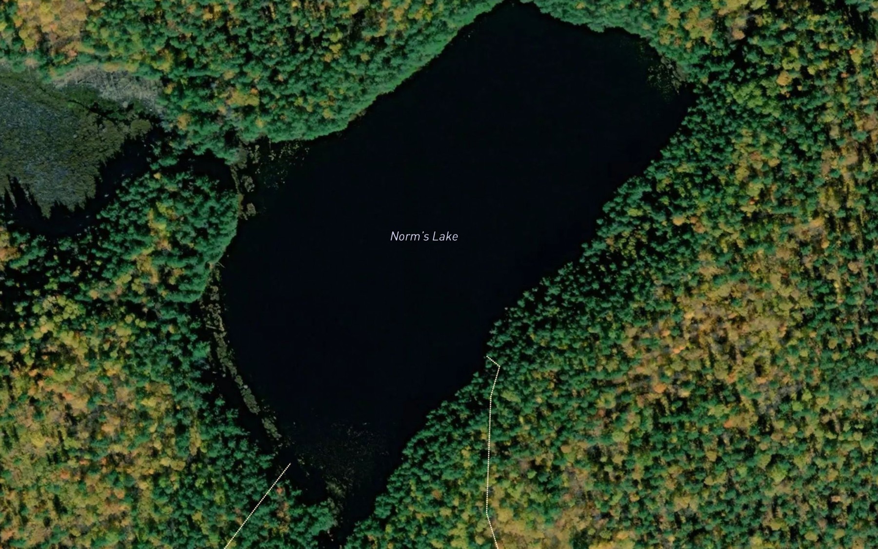 Satellite map of the Norm's Lake
