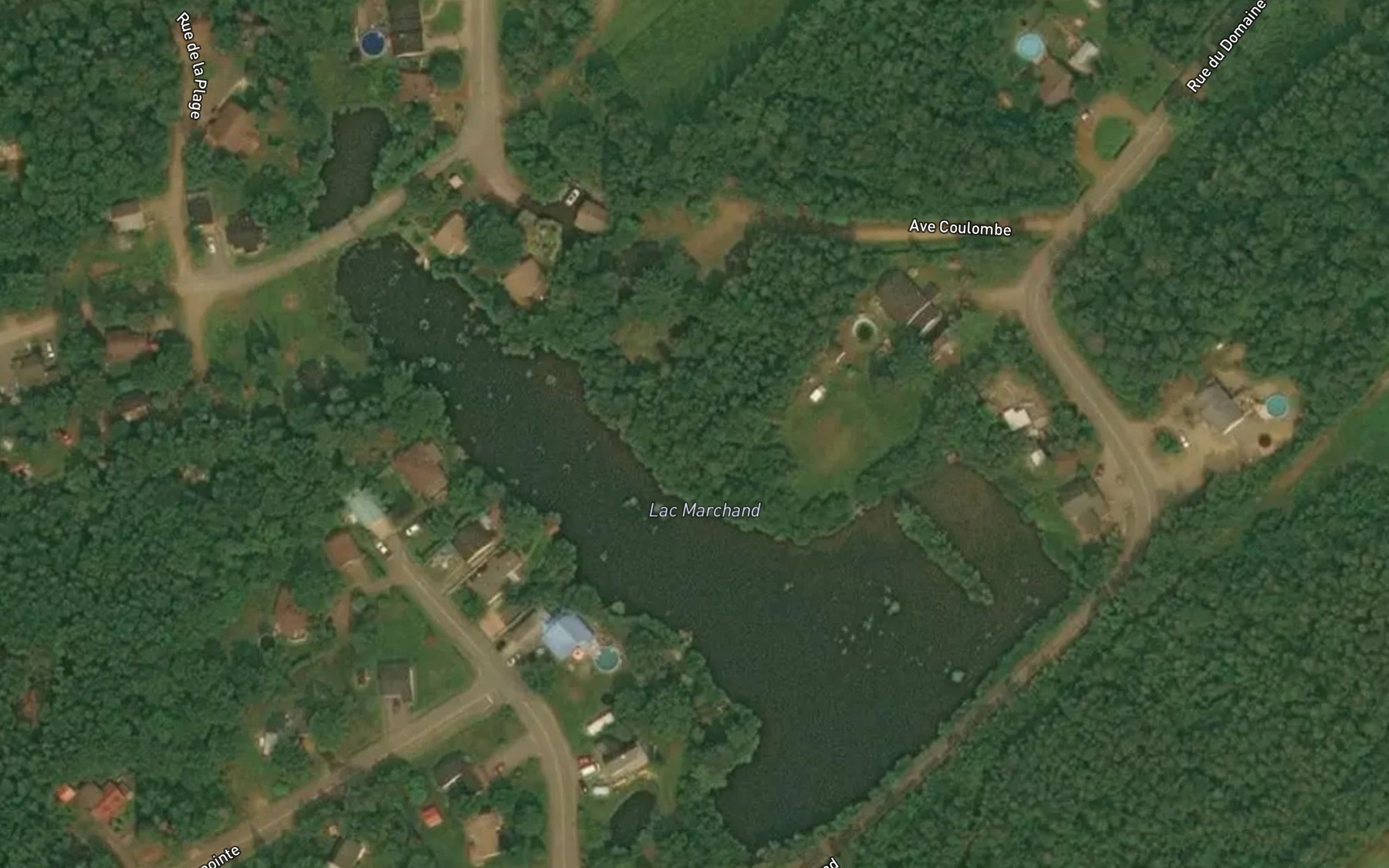 Satellite map of the Lac Marchand