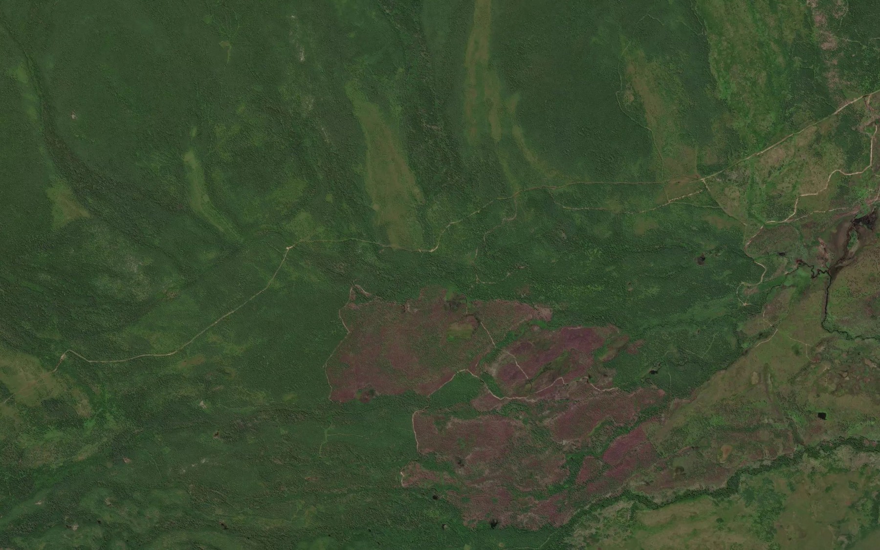Satellite map of the Osinnik