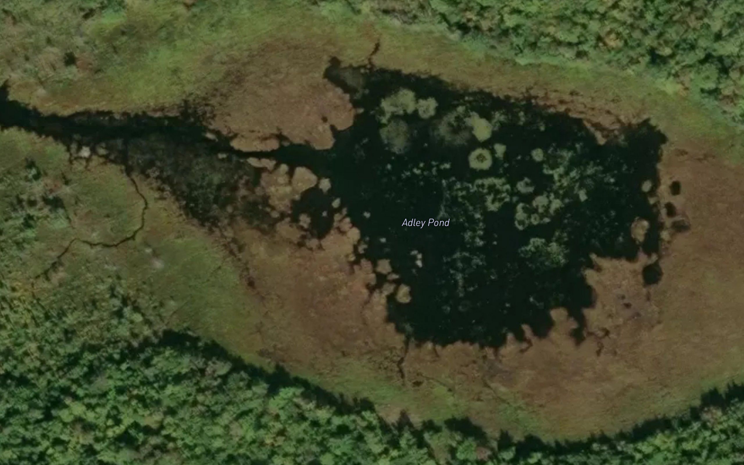 Adley Pond