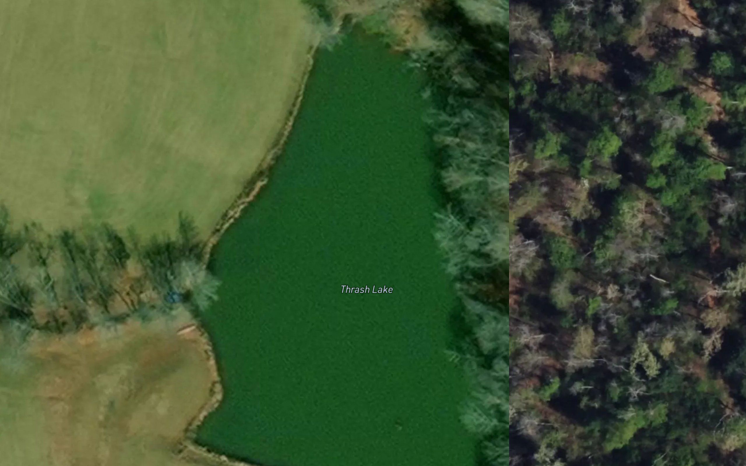 Thrash Lake