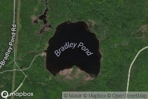 Bradley Pond