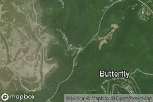 Shinglepen Branch