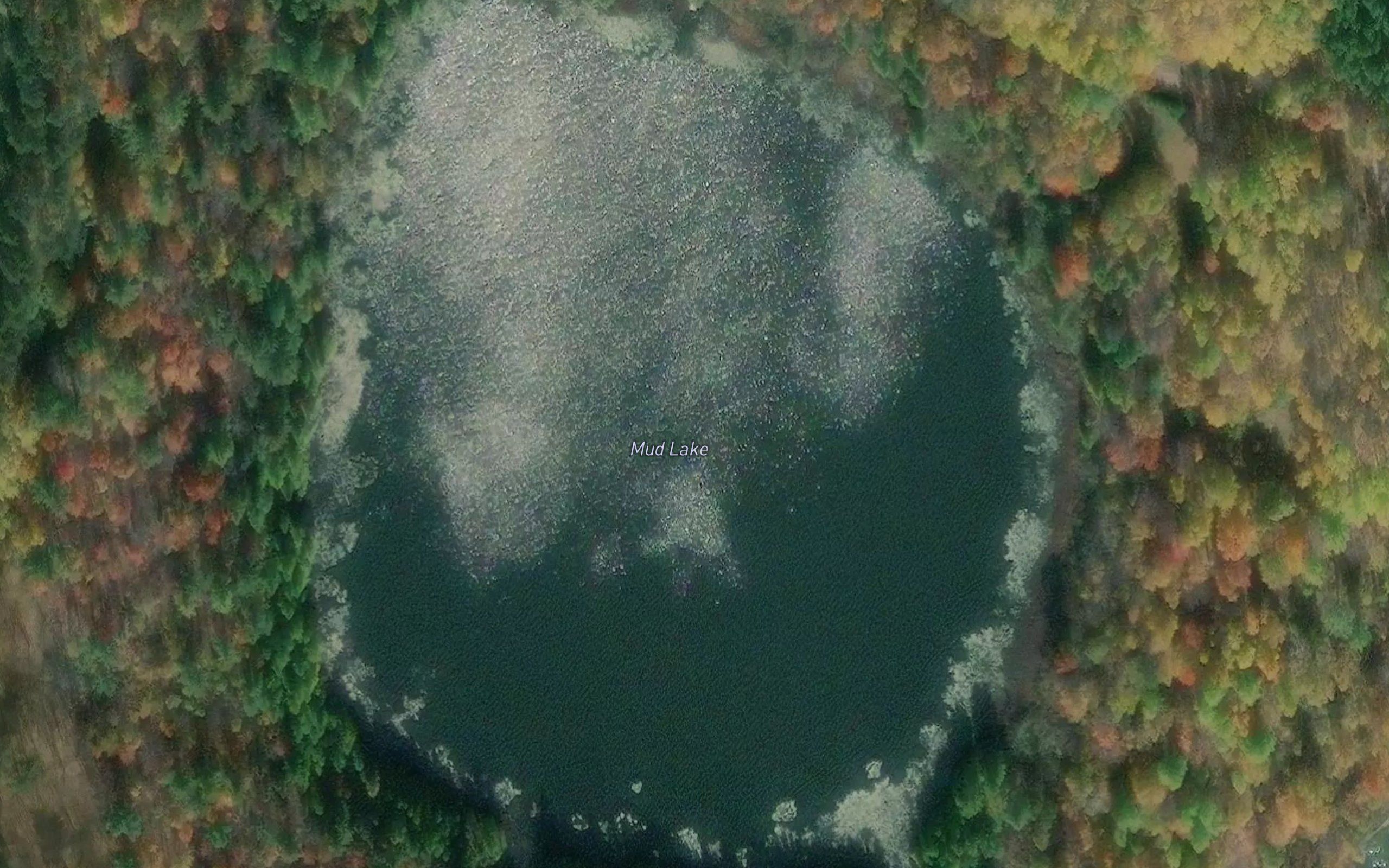 Mud Lake
