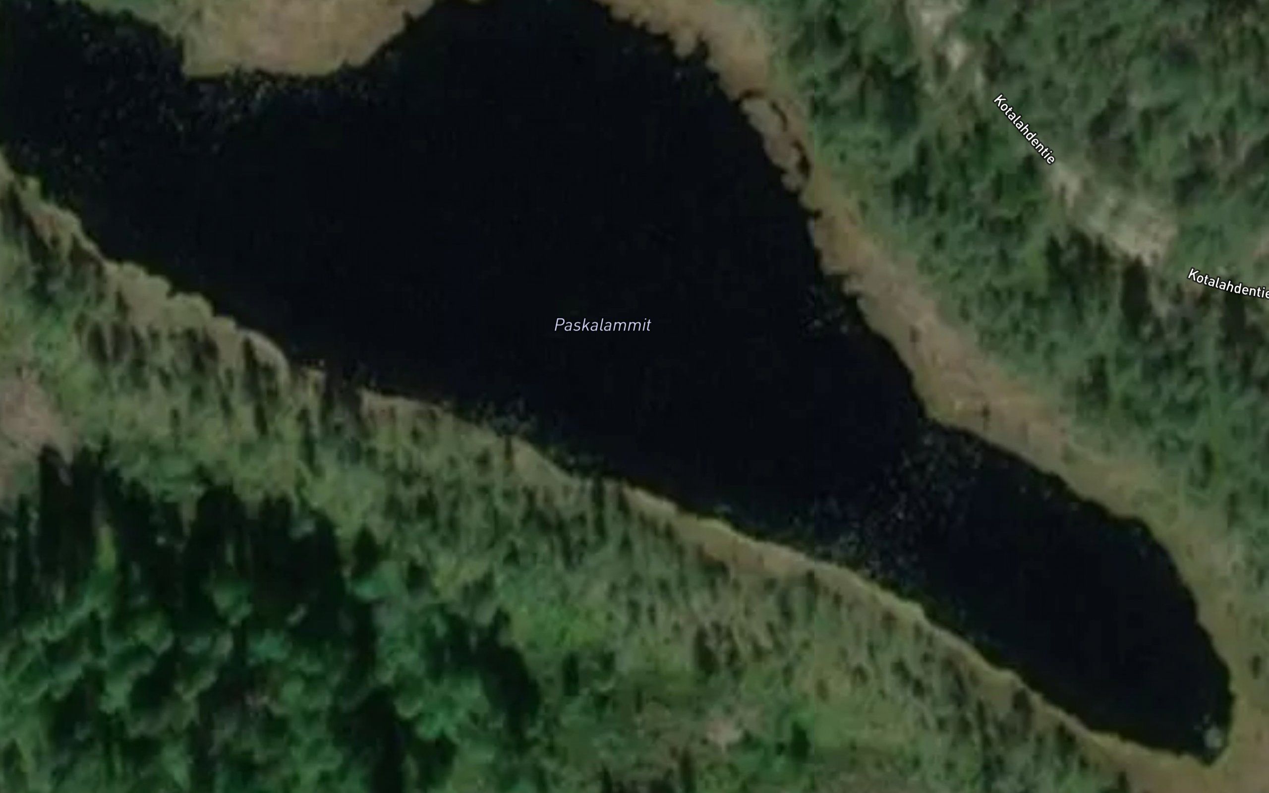 Paskalammit