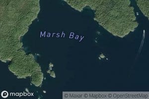 Marsh Bay