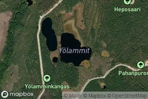 Yolammit