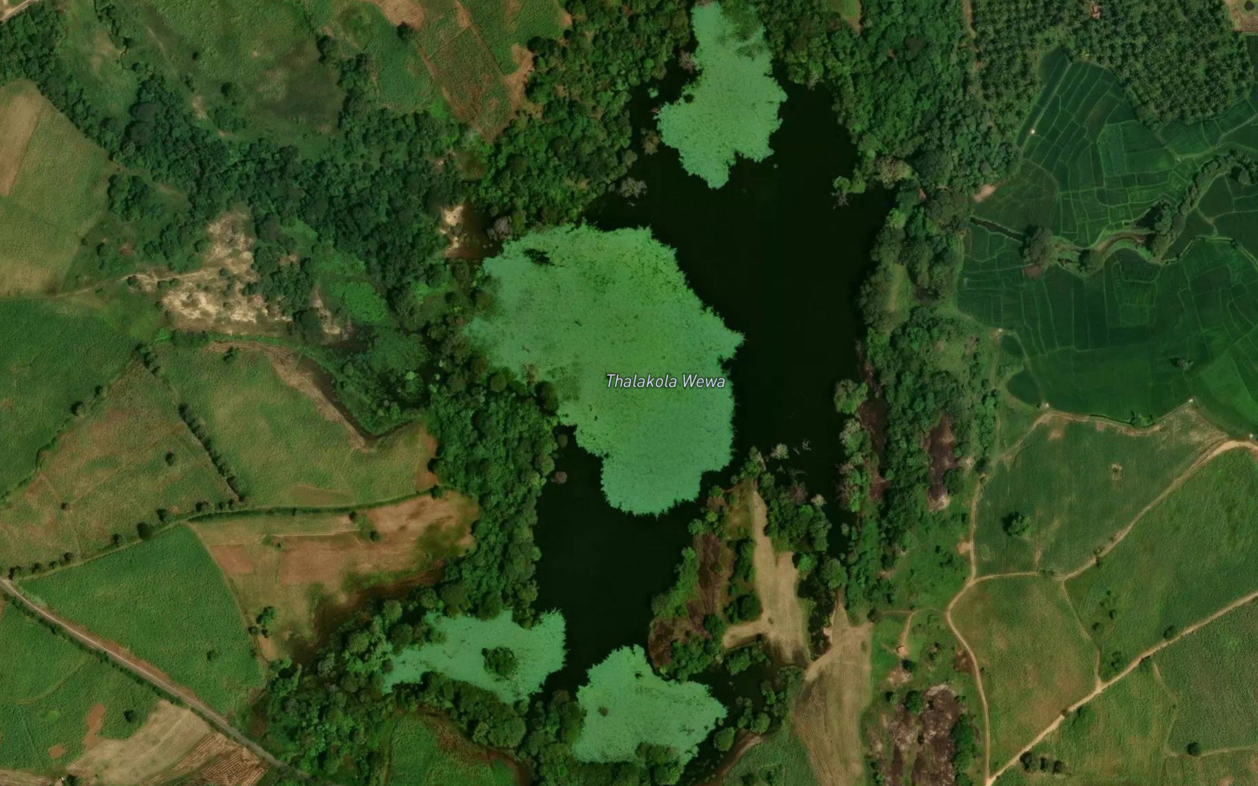 Talakola Wewa