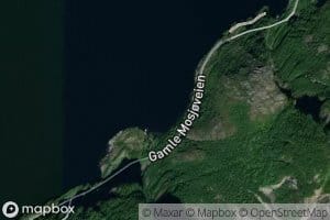 Kalvika