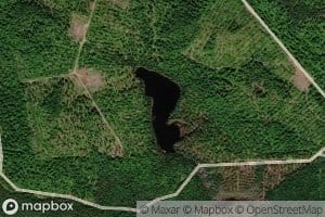 Mosquito Brook Pond