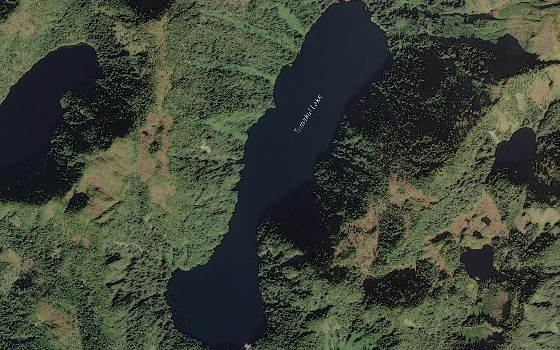 Satellite map of the Tumakof Lake
